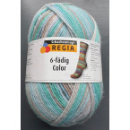 Regia 6 Ply Color Sock Yarn